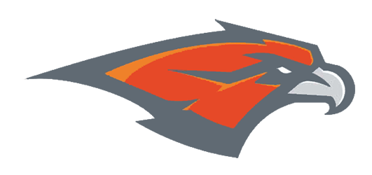 Support Your Skyridge Falcons Girls Basketball